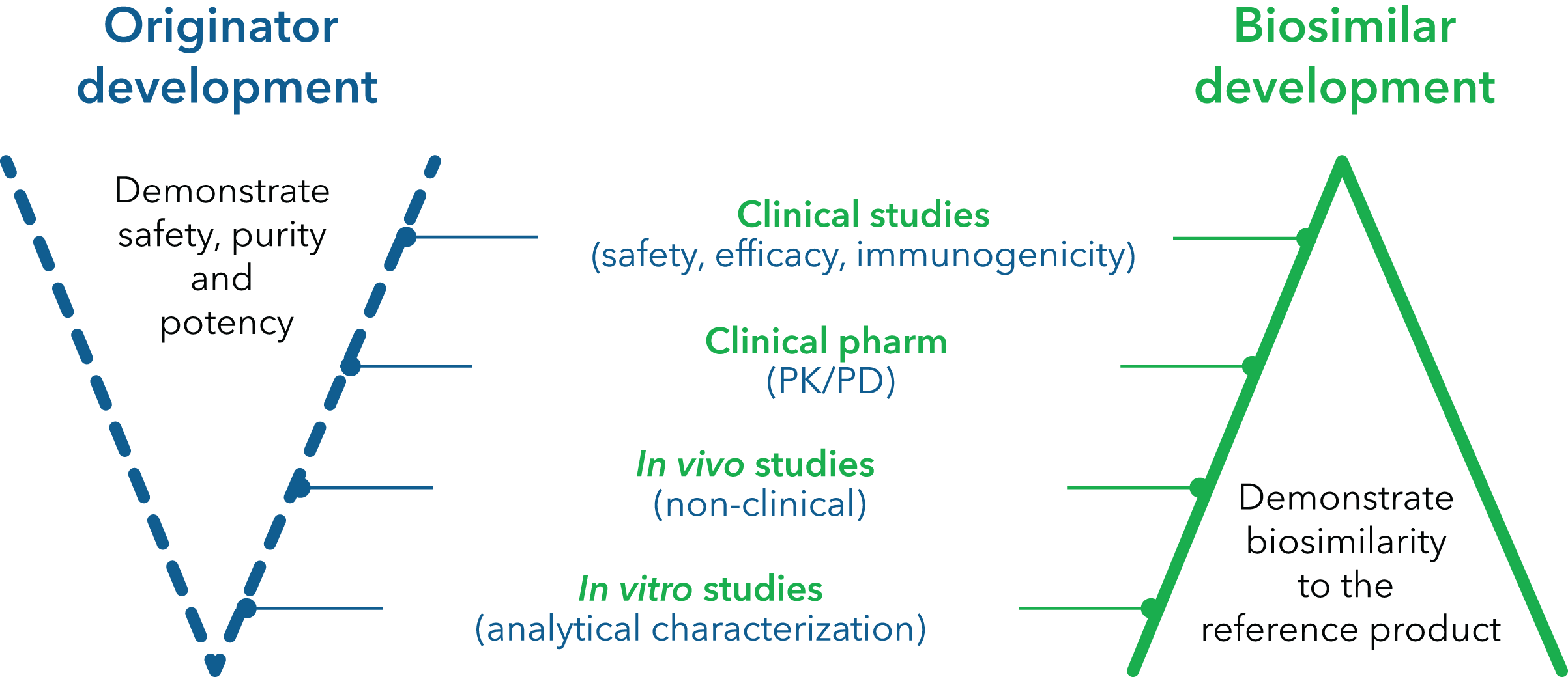 Développement de l’initiateur, démontrer l’innocuité, la pureté et la puissance des études cliniques (innocuité, efficacité, immunogénicité) (PK / PD) Dans les études vido (non cliniques) études in vitro (caractérisation analytique) Biosimilar develoment - démontrer biosimilarit au produit de référence.