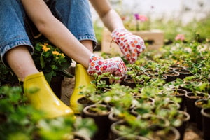 A woman dressed in yellow rubber boots and jeans is engaged in picking plants amidst a flourishing landscape.